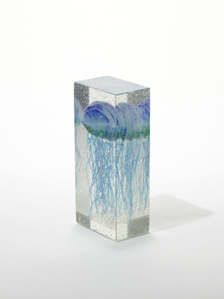 A colourful digital illustration of multiple jellyfish with long, flowing tentacles in a blue background.