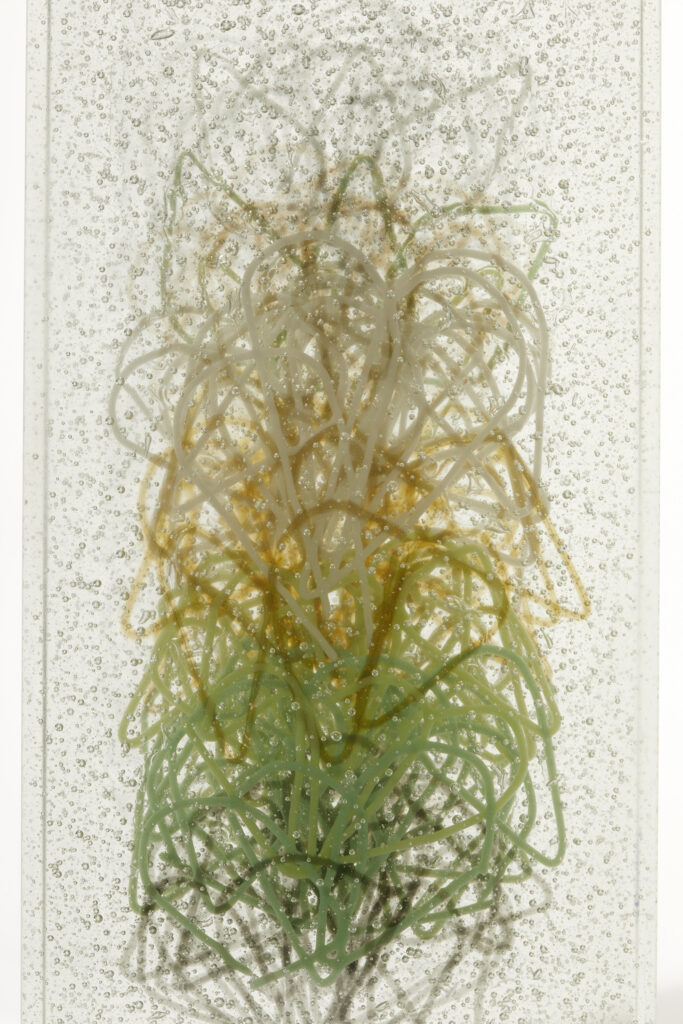 A close-up, vertical shot of a glass art piece. The rectangular block of clear glass is filled with numerous tiny bubbles and encases a tangled, organic form made of translucent strands. The strands transition in color from a pale, almost white at the top, to a golden or amber hue in the middle, and then to various shades of green towards the bottom