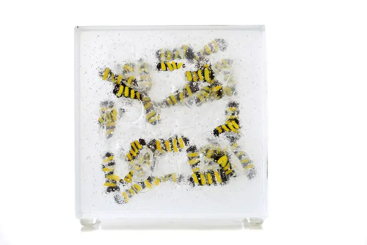 A front-on view of the glass block, clearly showing the clustered yellow and black bees suspended within the clear glass.